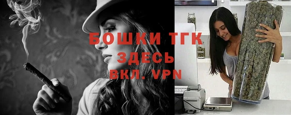 ALPHA PVP Ельня