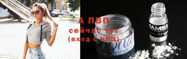 ALPHA PVP Ельня