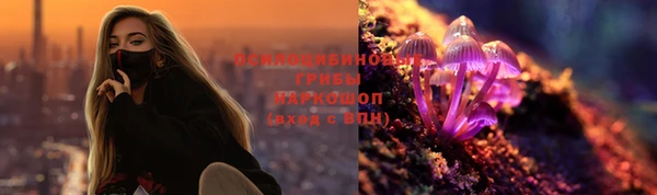 ALPHA PVP Ельня