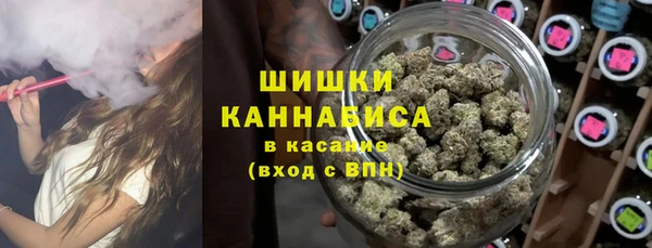 ALPHA PVP Ельня