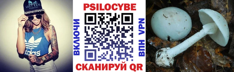 Галлюциногенные грибы Psilocybe  Зеленодольск 