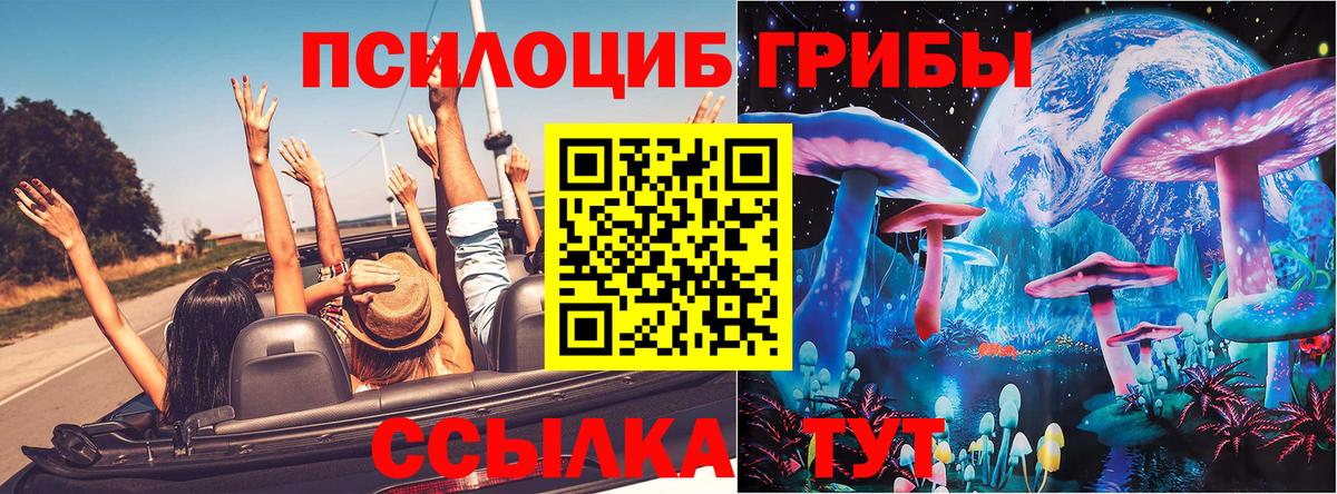 Зеленодольск  Псилоцибиновые грибы GOLDEN TEACHER  что такое наркотик  Вход с VPN  Галлюциногенные грибы Cubensis 